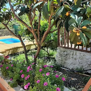 Carrubo - Giardino In , Catane Italie
